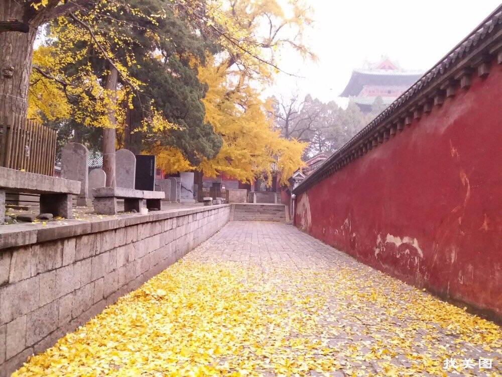 行程美圖